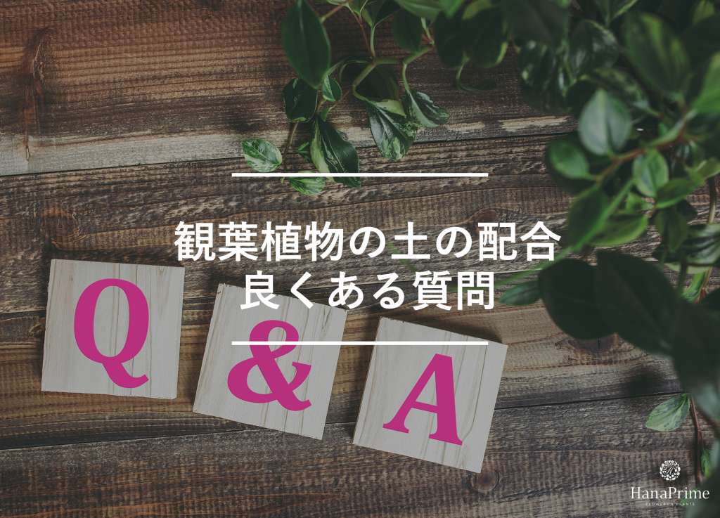 観葉植物の土の配合に関する良くある質問