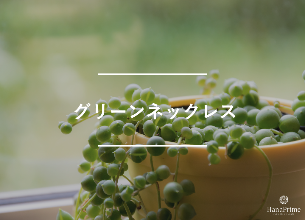 グリーンネックレス