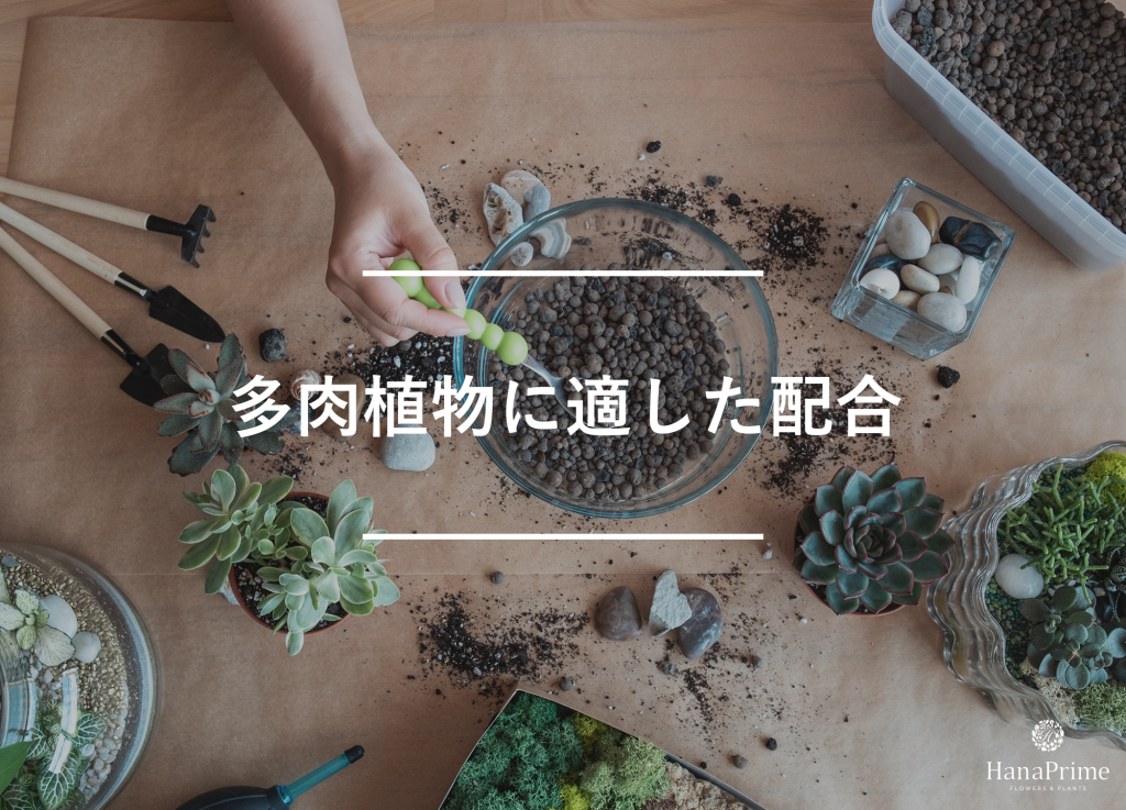 多肉植物に適した配合は?