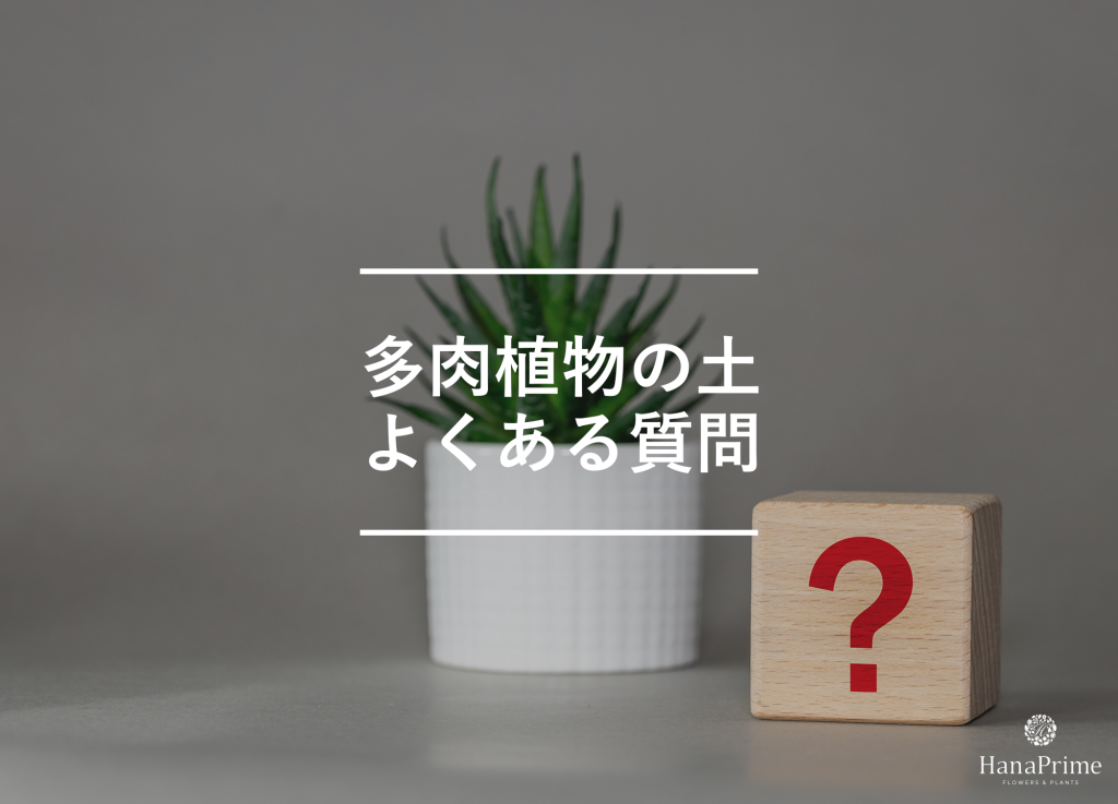 多肉植物の土に関するよくある質問