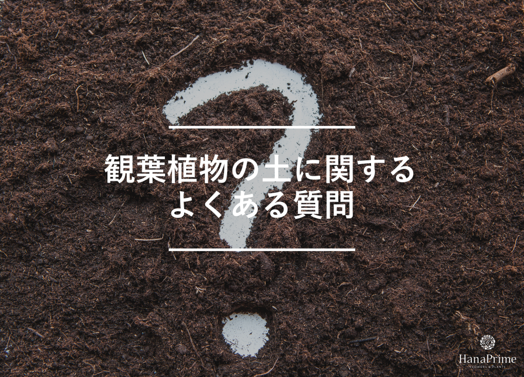 観葉植物の土に関するよくある質問
