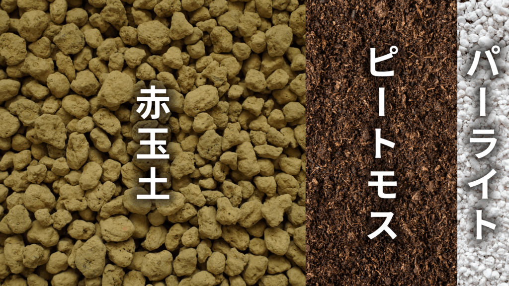 スキンダプサス トレビーの土の配合比率