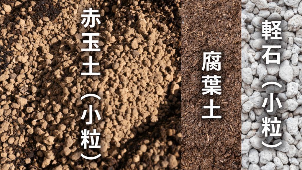 ペペロミア オブツシフォリアの土の配合比率