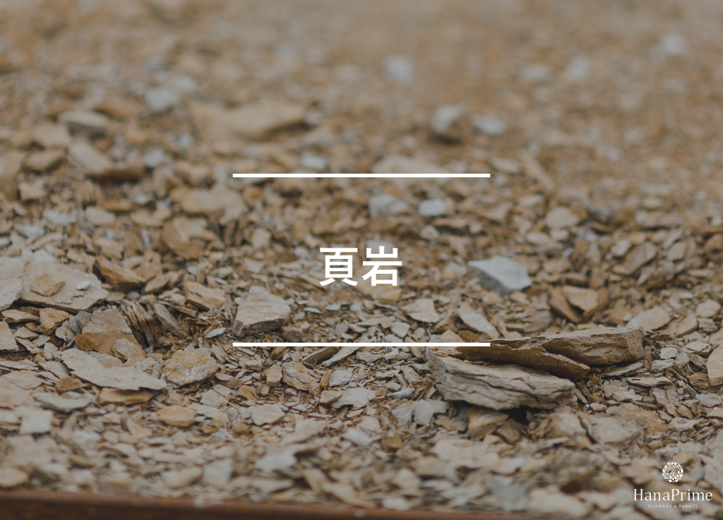 頁岩