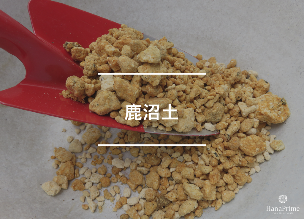 鹿沼土