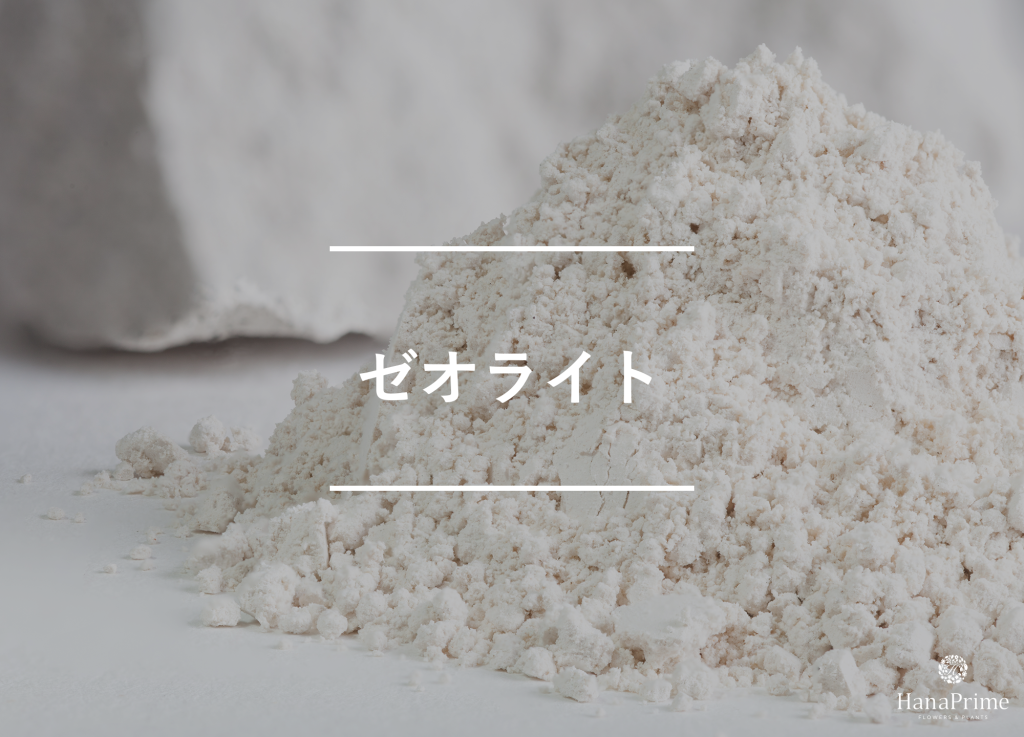 ゼオライト