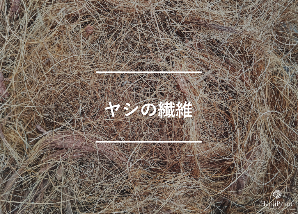 ヤシの繊維