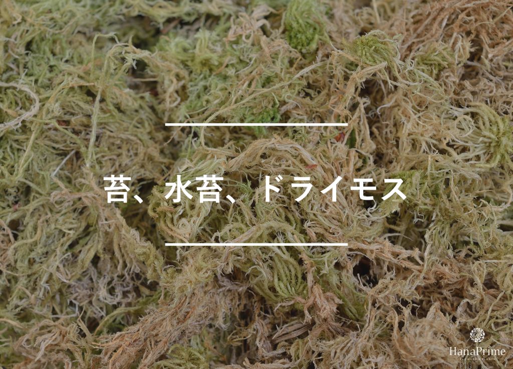 苔、水苔、ドライモス