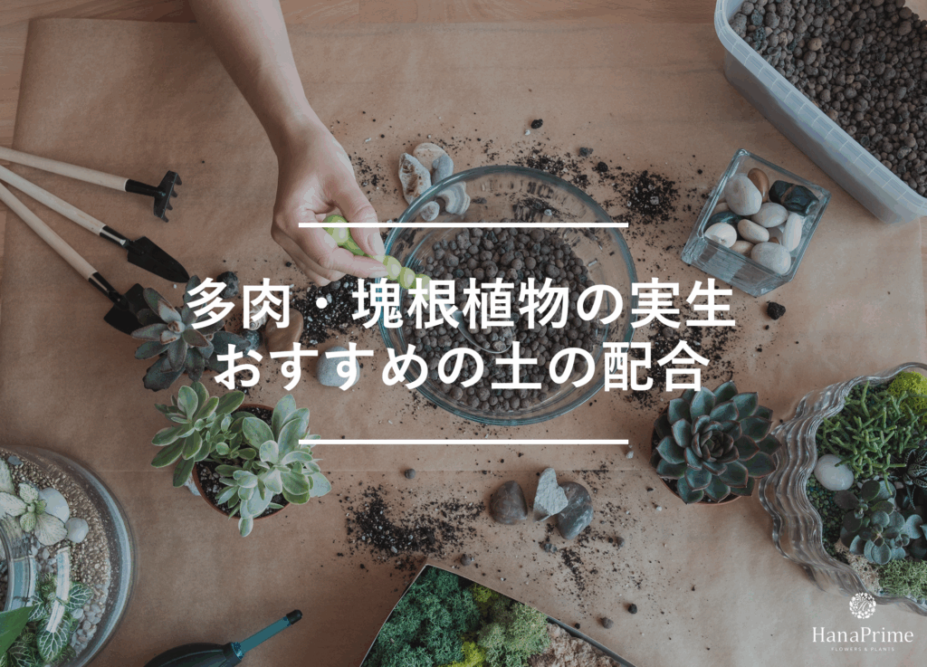観葉植物の発芽に適した土の配合