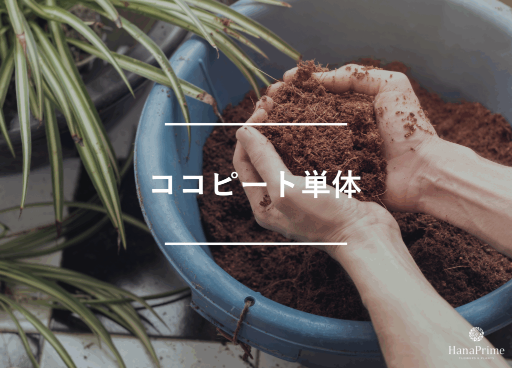 ココピート単体