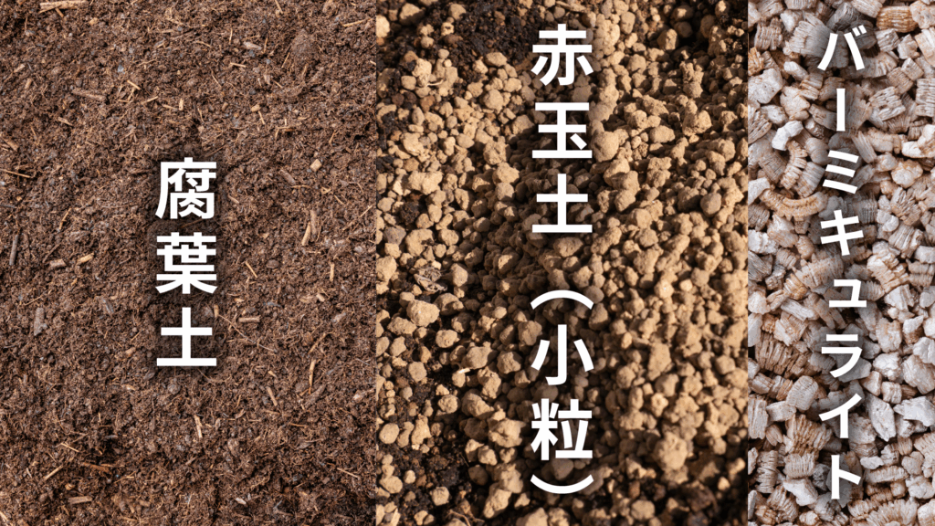 アジアンタム フラグランスの土の配合比率