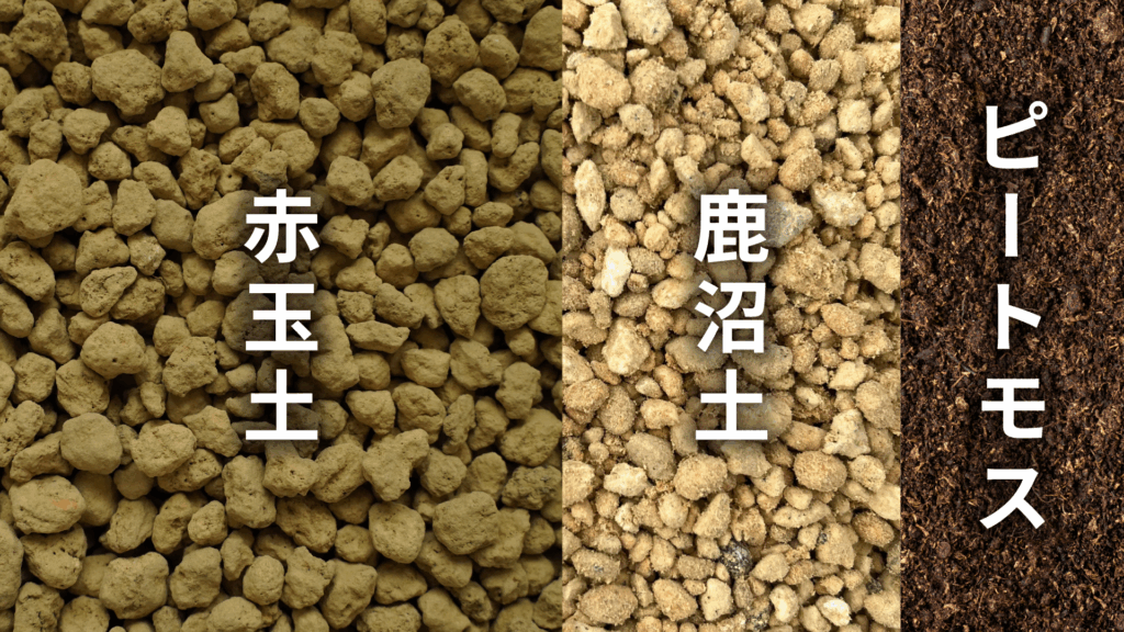 アンスリウム ダコタの土の配合比率