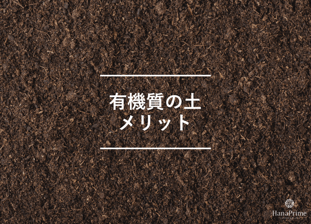 有機質の土を使う2つのメリット
