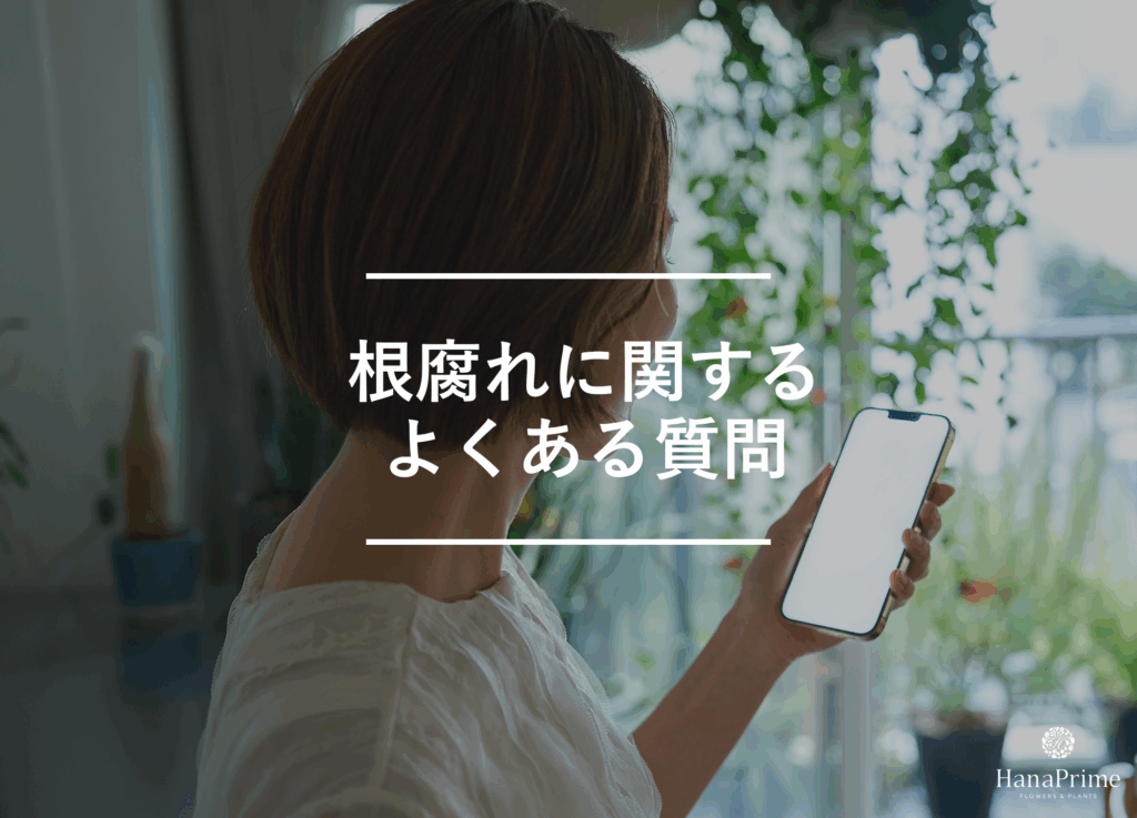 観葉植物の根腐れに関するよくある質問
