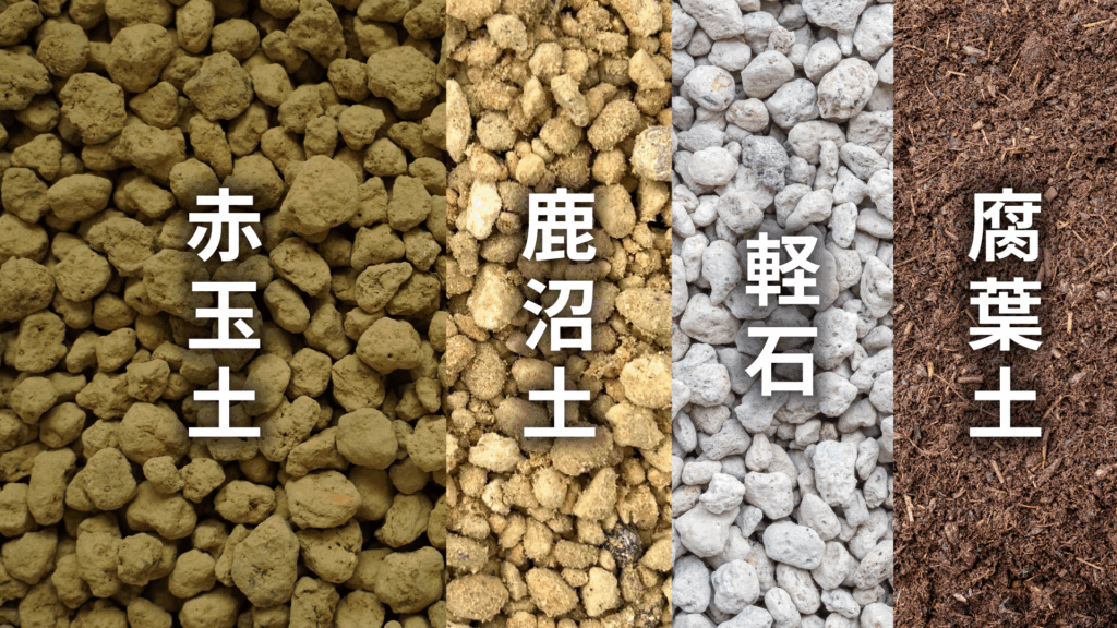 サボテン 緋牡丹の土の配合比率