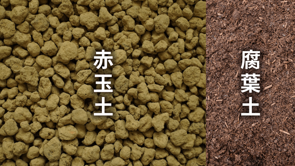 マランタの土の配合比率