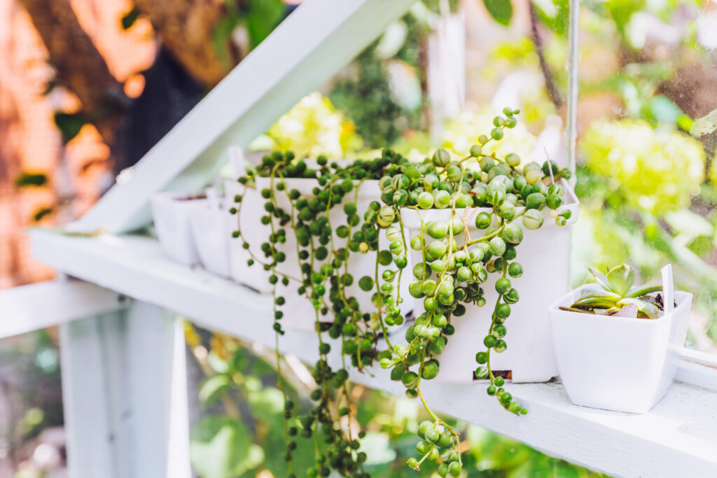 マーブルネックレス