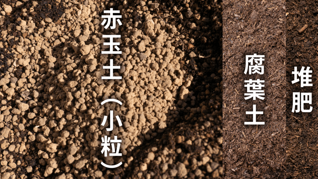 シェフレラ レナータの土の配合比率