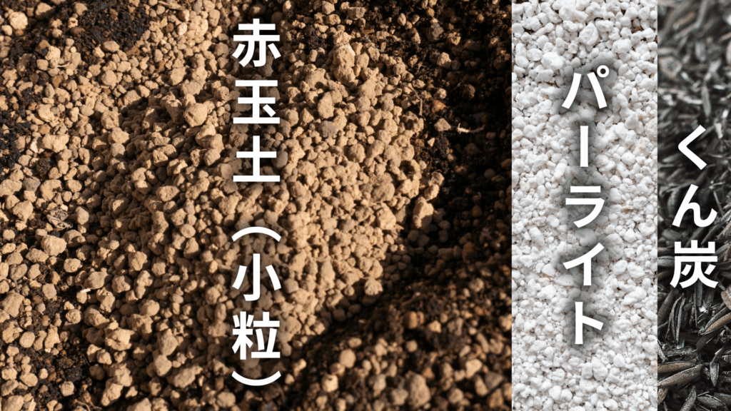 フィロデンドロン フロリダゴーストの土の配合比率