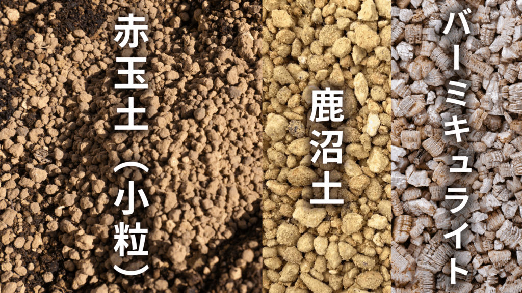 フィカス エラスティカ クライギーの土の配合比率