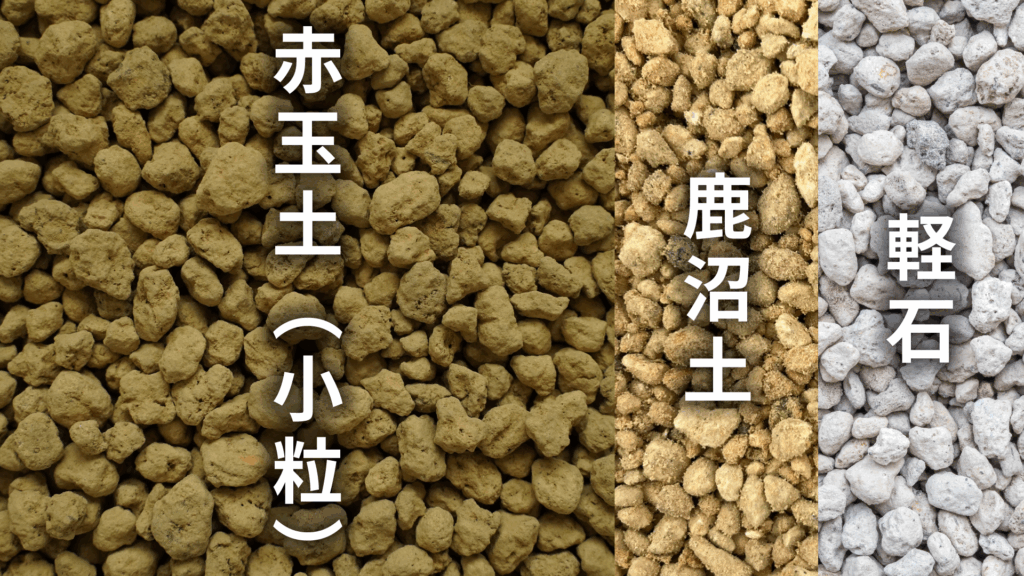 フィカス ベンジャミン ラブリーの土の配合比率