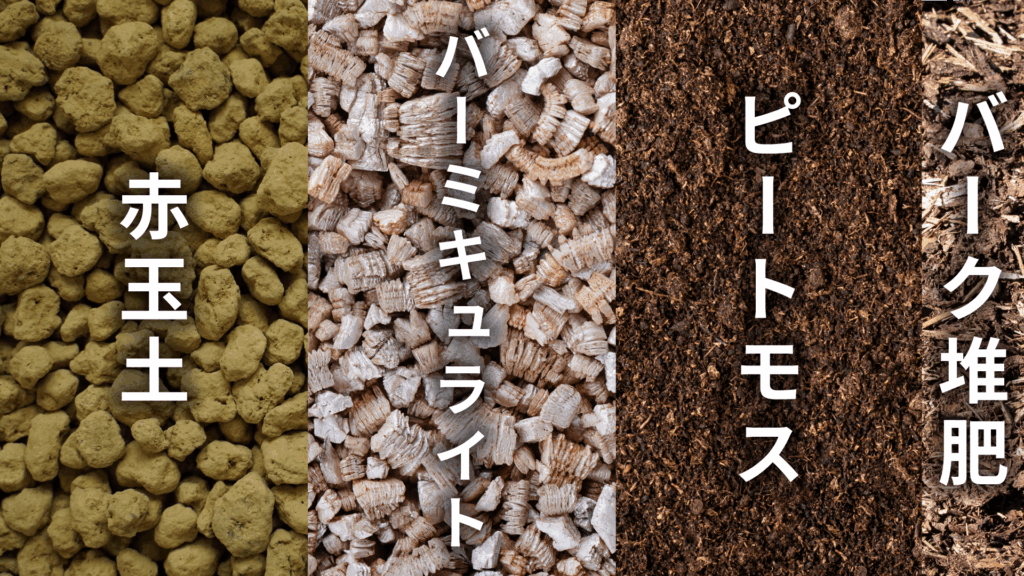 フィロデンドロン ロジョコンゴの土の配合比率