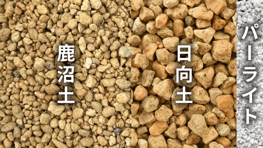 ホヤ カルノーサ コンパクタの土の配合比率