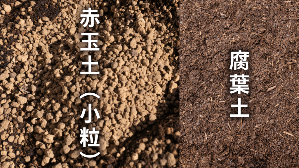 アエオニウムの土の配合比率