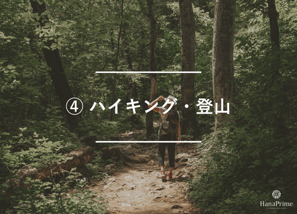 ④ ハイキング・登山