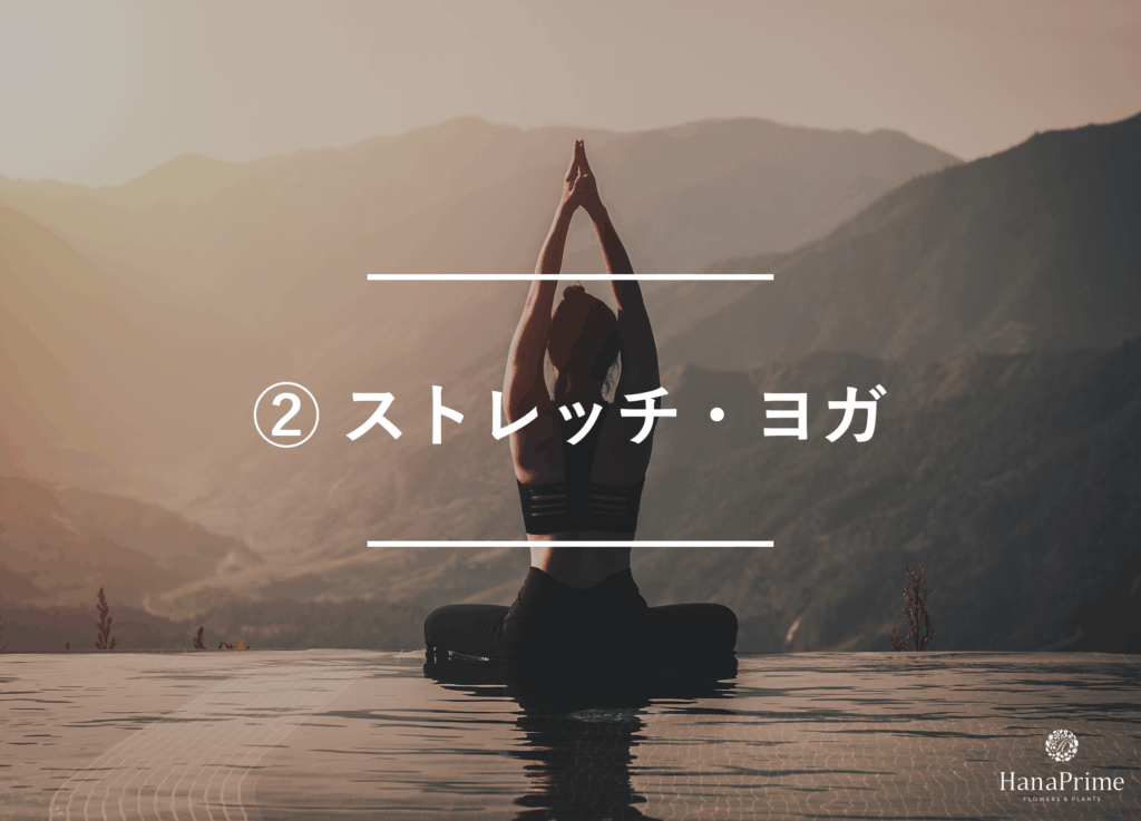 ② ストレッチ・ヨガ