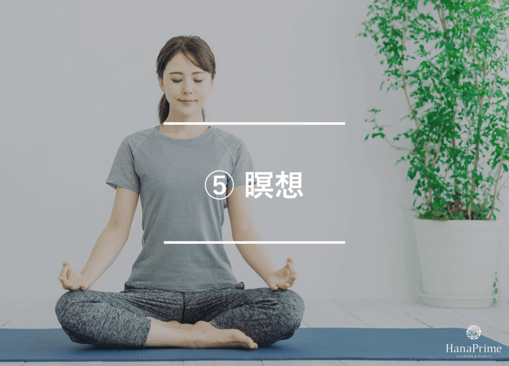 ⑤ 瞑想