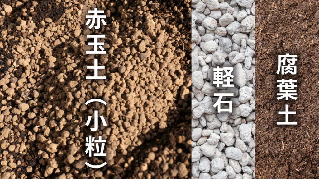 ペペロミア ロッソの土の配合比率