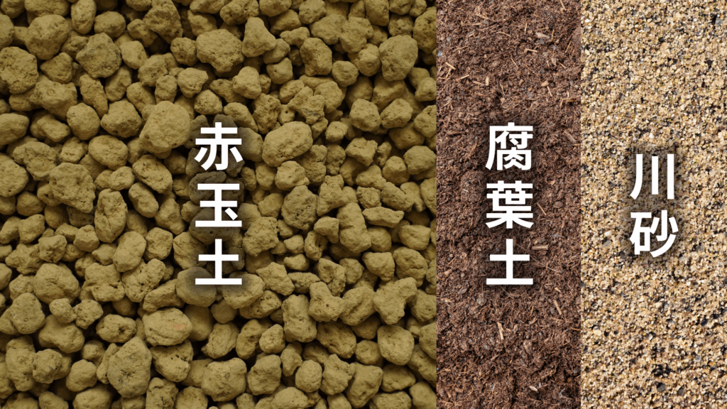 ムラサキオモトの土の配合比率