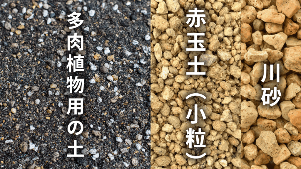 センペルビウム ゴールドナゲットの土の配合比率