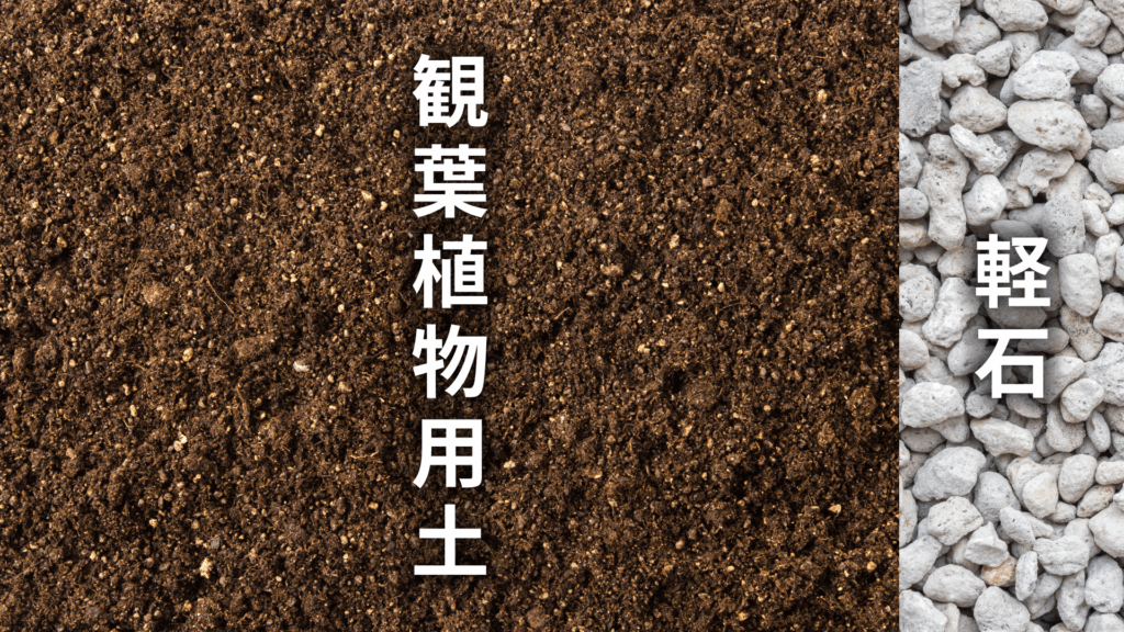 マホニア コンフューサの土の配合比率