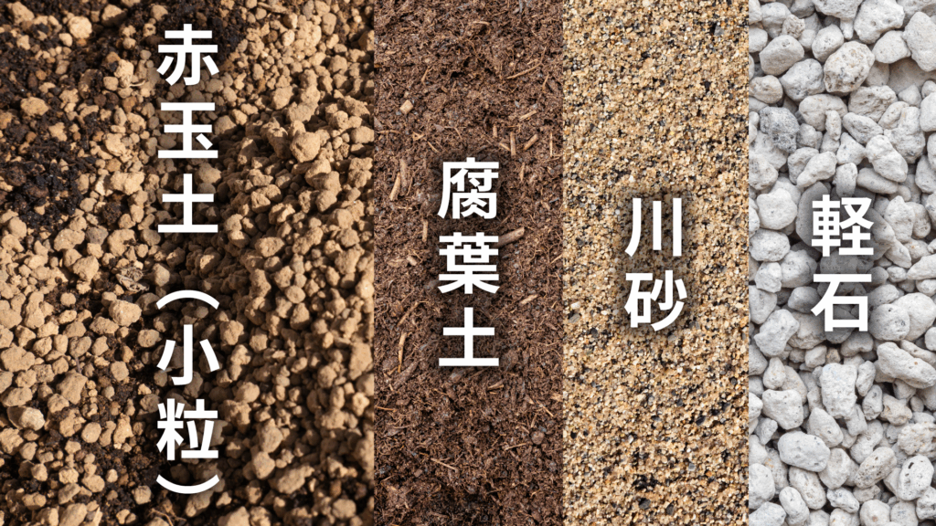 ハオルチアの土の配合比率