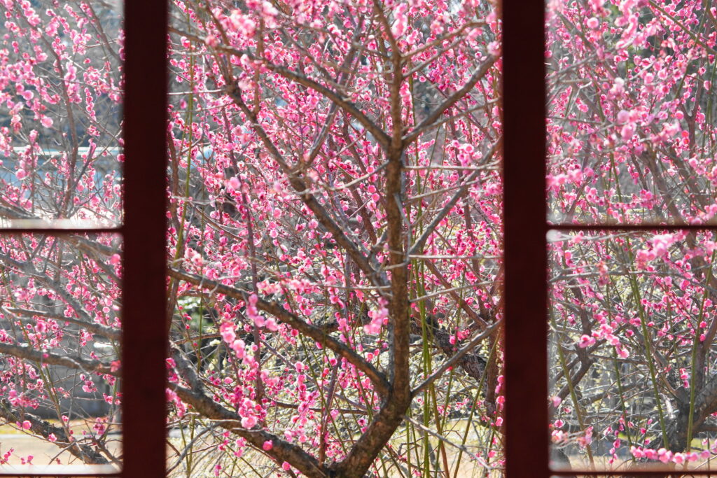 シンボルツリー