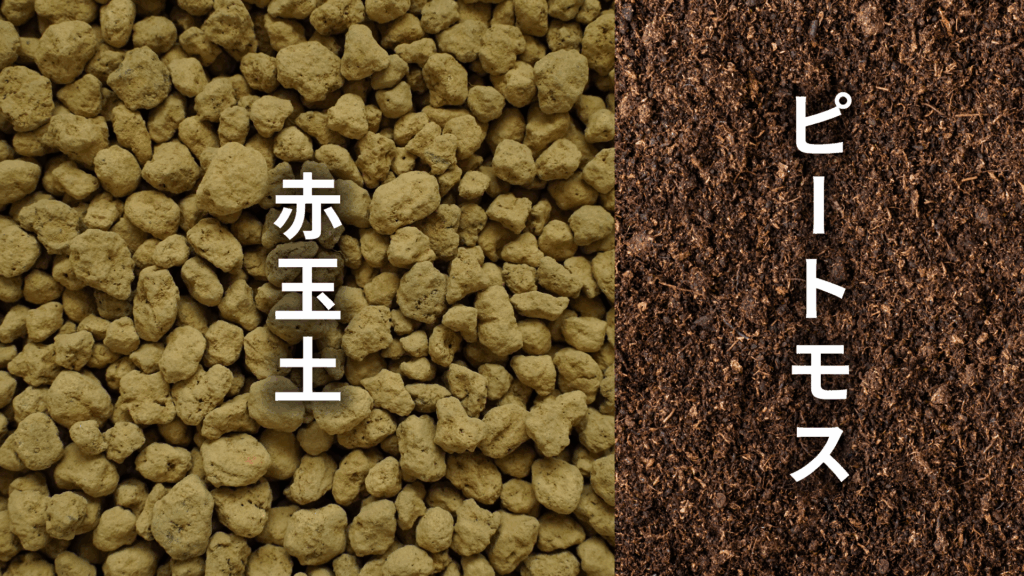 サンスベリア バキュラリスの土の配合比率