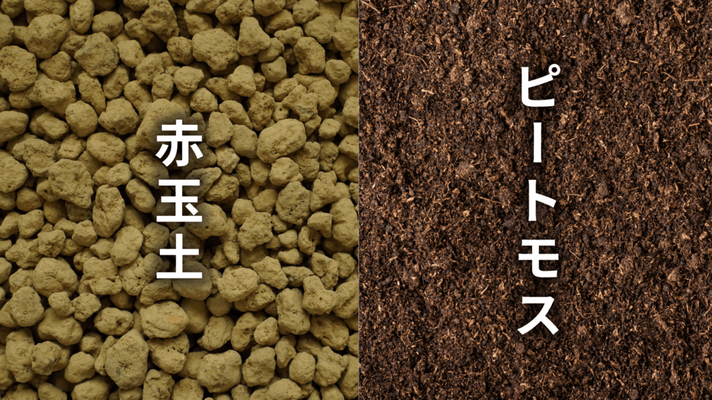 ディスキディア　オバタの土の配合比率