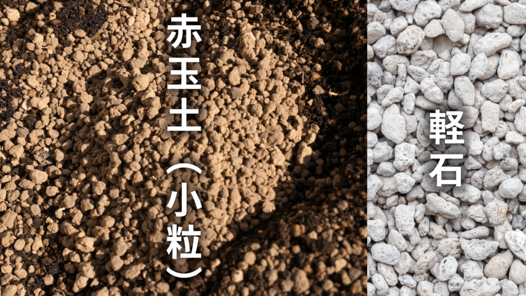 トックリランの土の配合比率