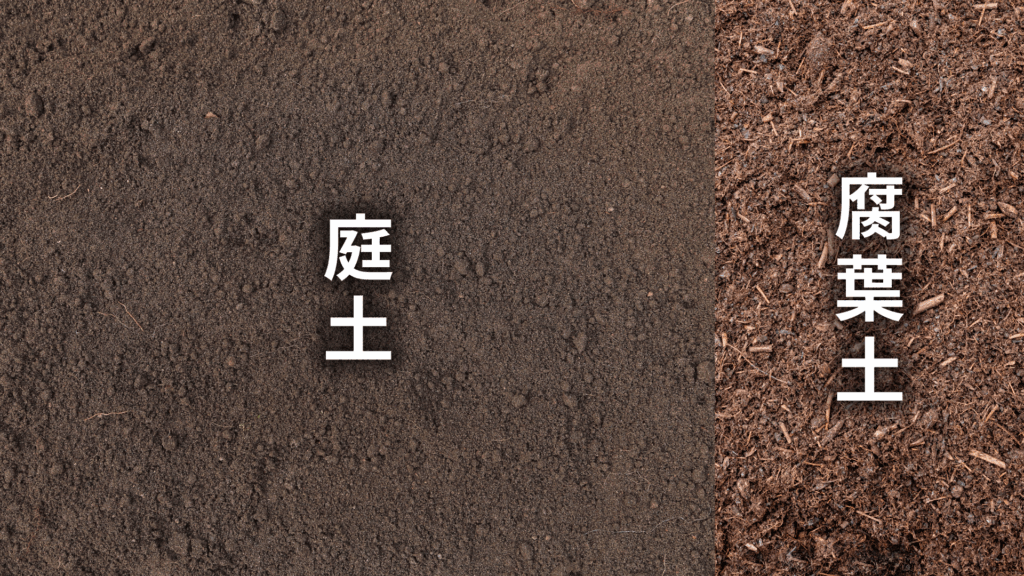 ソテツの土の配合比率