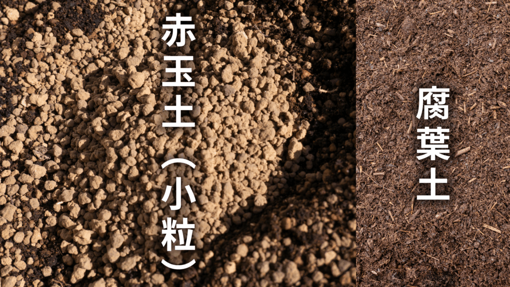 ユスラウメの土の配合比率