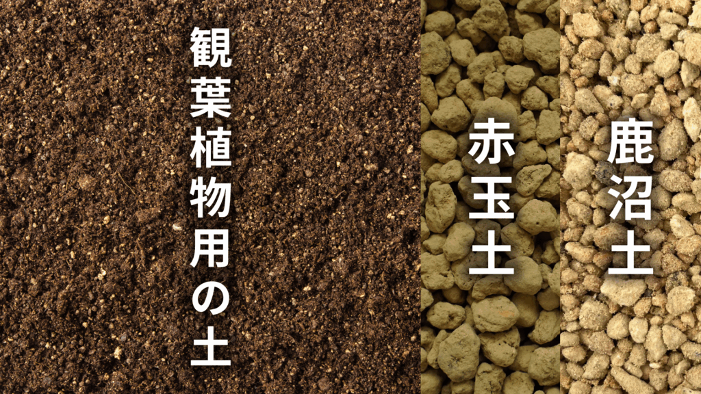 スパティフィラム ダイヤモンドの土の配合比率