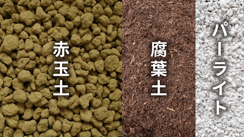 ペペロミア プテオラータの土の配合比率