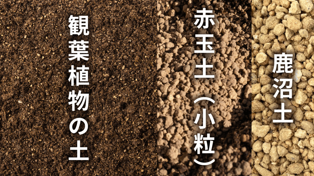 オリヅルランの土の配合比率