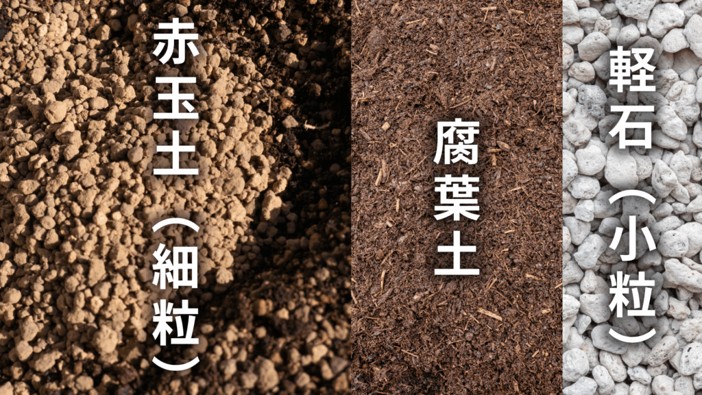 ネフロレピスの土の配合比率
