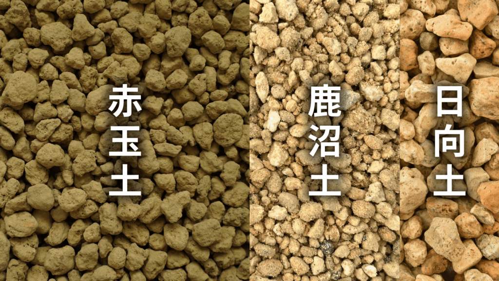 マミラリア カルメナエの土の配合比率