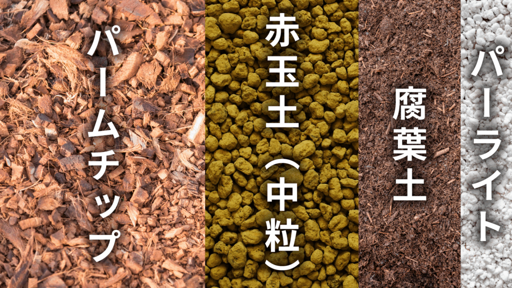 マランタ レウコネウラ エリトロネウラの土の配合比率