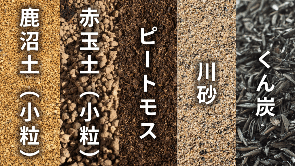 ハオルチア オブツーサの土の配合比率