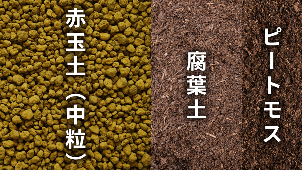 ポインセチアの土の配合比率